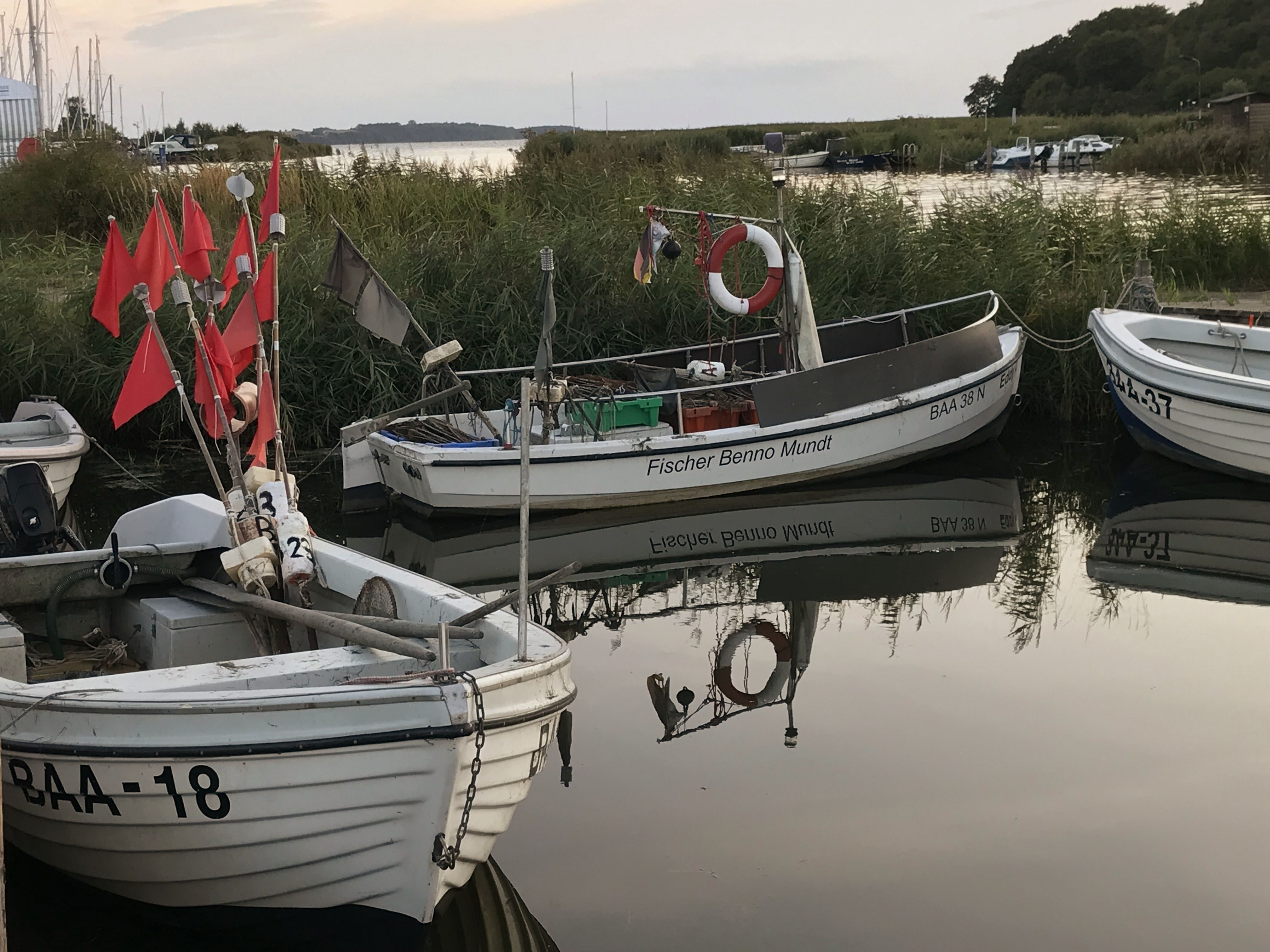 Fischerboote im Hafen von Baabe