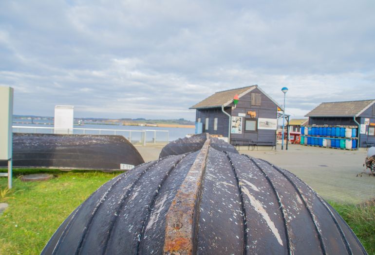 Ferienhaus Ilsebill Umgebung