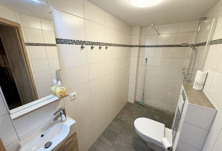 Dusche und WC im Wellnessbereich Dusche und WC im Wellnessbereich