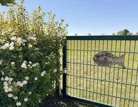 Zollhaus Klein Zicker - exklusive Wohnungen mit Meerblick