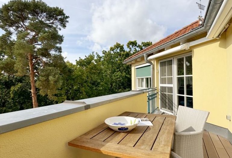 Dachterrasse mit Blick zum Wald Dachterrasse mit Blick zum Wald