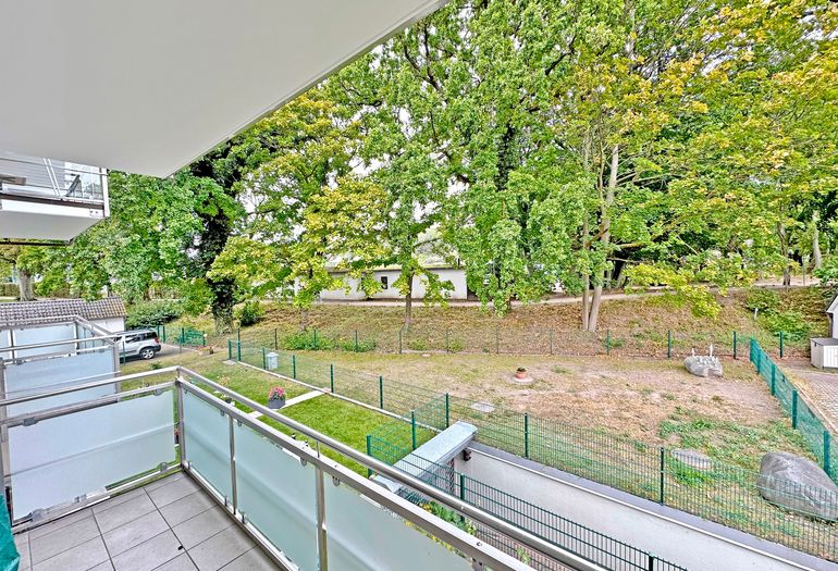 Blick in den Wald Blick in den Wald