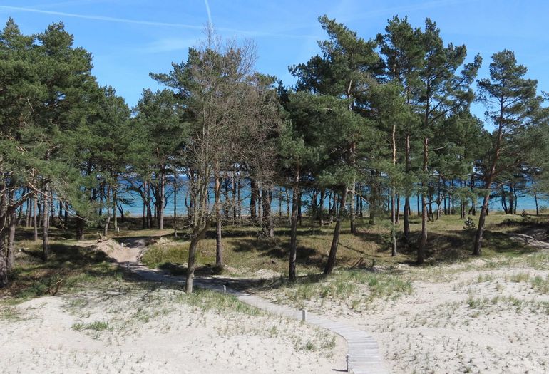 Haus Aurum Appartement Ostseestrand mit Balkon Haus Aurum Appartement Ostseestrand mit Balkon