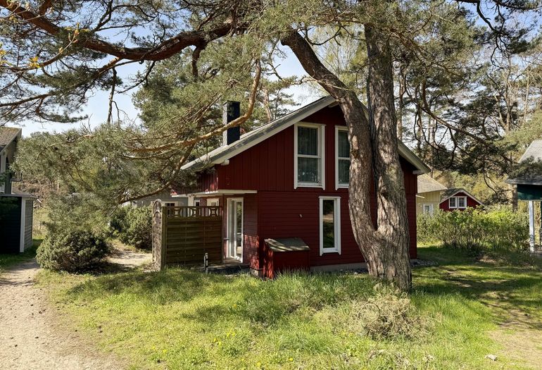 Strandhaus Dünenweg 17c - umgeben von Kiefern Strandhaus Dünenweg 17c - umgeben von Kiefern