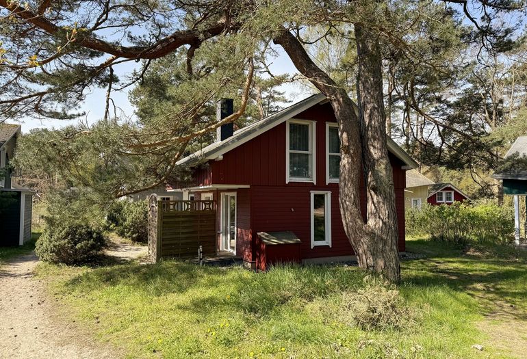 Strandhaus Dünenweg 17c - umgeben von Kiefern