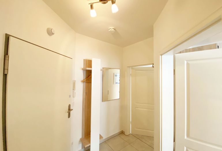 Flur mit Spiegel Flur mit Spiegel