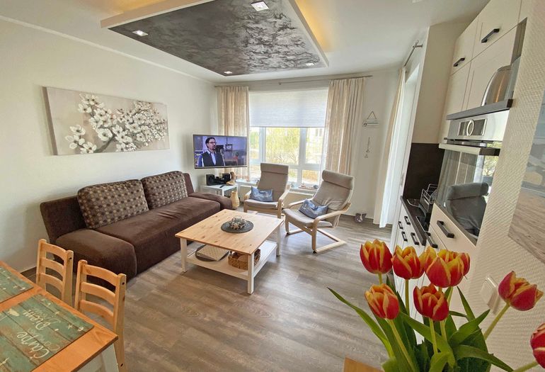 kombinierter Wohn- und Essbereich mit gemütlicher Couch kombinierter Wohn- und Essbereich mit gemütlicher Couch