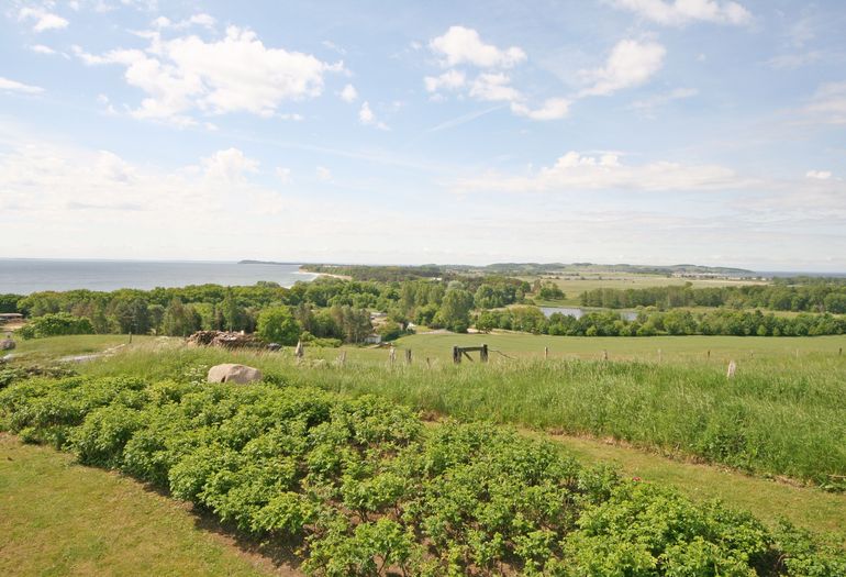 Haus Greifswalder Bodden -Ausblick vom Grundstück Haus Greifswalder Bodden -Ausblick vom Grundstück