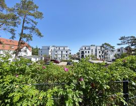 Strandkiefer Whg. 01 mit Terrasse