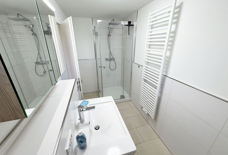Tageslichtbad mit Regen-Dusche und Echt-Glasabtrennung Tageslichtbad mit Regen-Dusche und Echt-Glasabtrennung