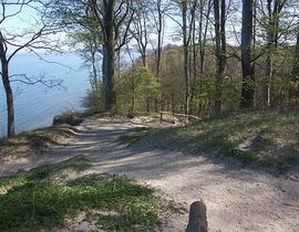 Kurparkresidenz Baabe Whg. 03 Bernsteinchen