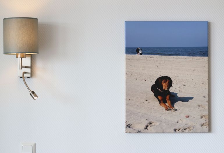 Bild im Wohnzimmer Bild im Wohnzimmer