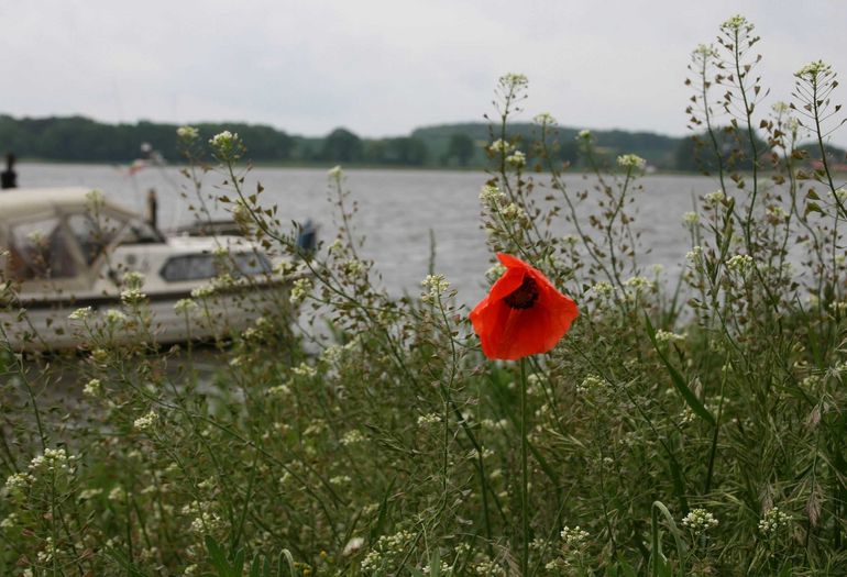 Selliner See Selliner See