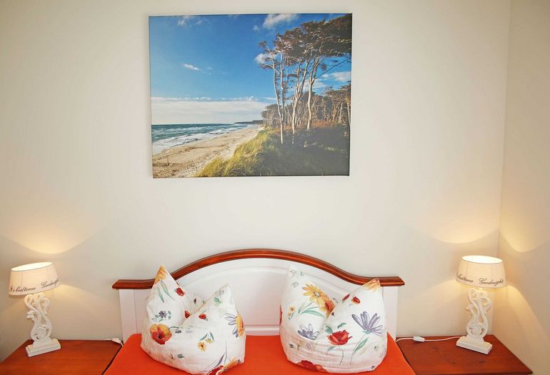 Bild Strandkiefern Bild Strandkiefern