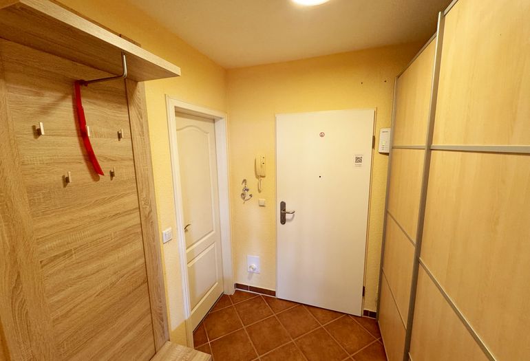 Flurbereich mit Blick vom Wohnbereich