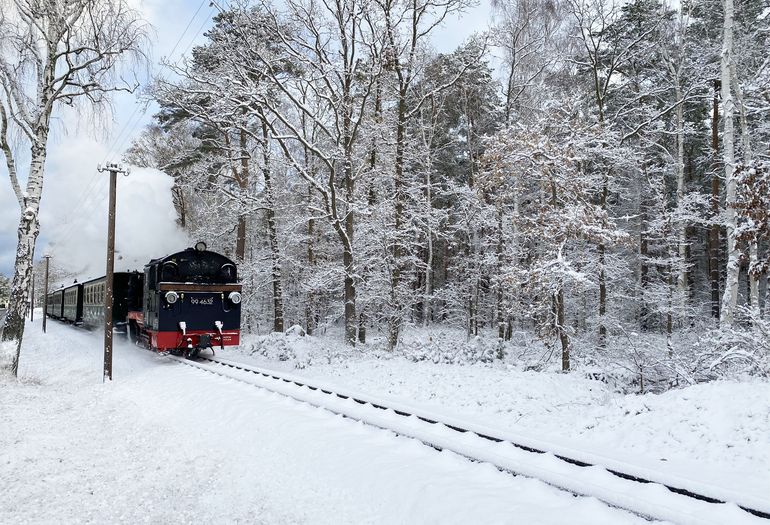 Rasender Roland bei Schnee