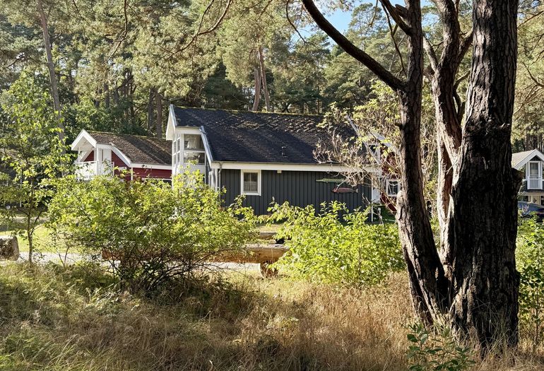 Ferienhaus Sandkörnchen - mit Katzensprung in den Wald