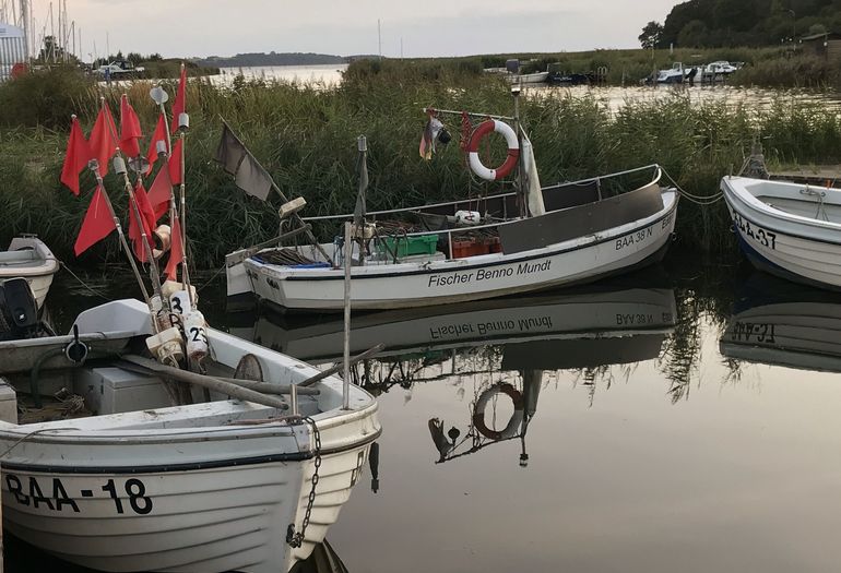 Fischerboote am Baaber Bollwerk Fischerboote am Baaber Bollwerk