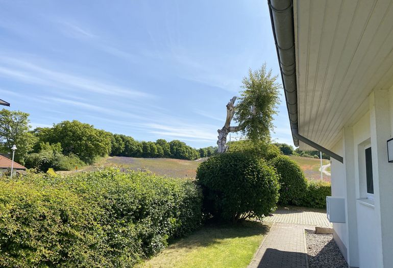 Haus A mit Blick zum Lotsenberg