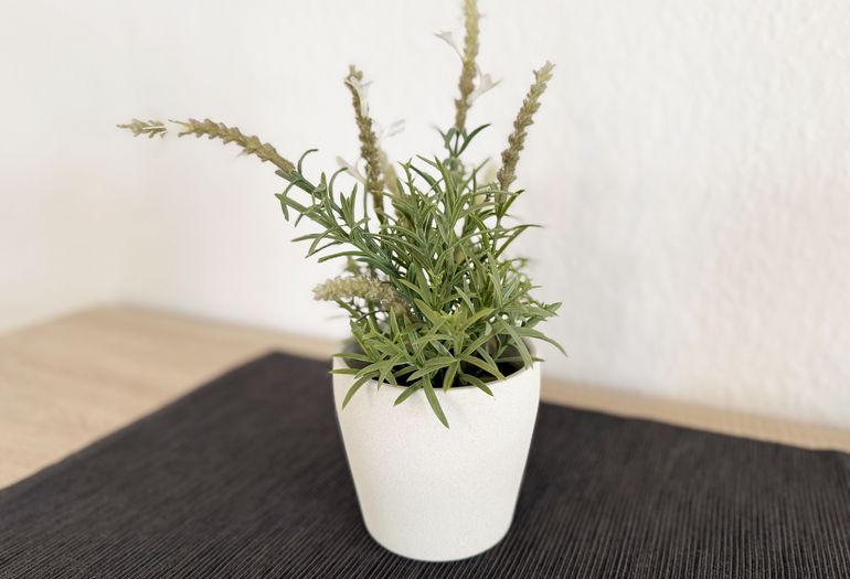 Dekoration Dekoration