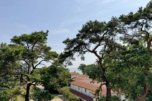Grüne Düne Whg. 21 mit Dachterrasse