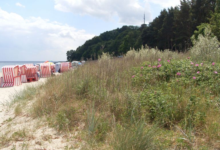 Strandkörbe am Hauptstrand Strandkörbe am Hauptstrand
