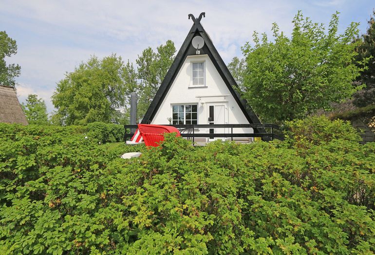Blick durchs Grüne zum Haus Blick durchs Grüne zum Haus