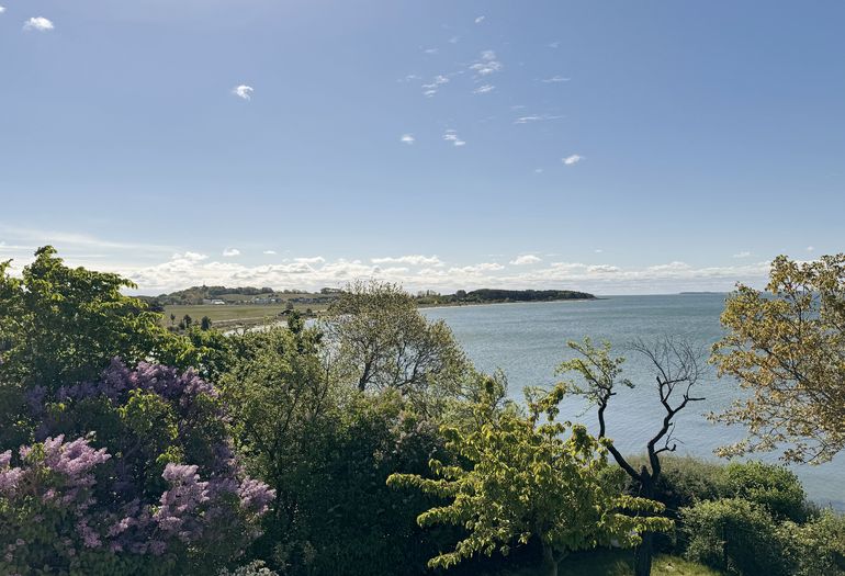 Blick auf die Ostsee