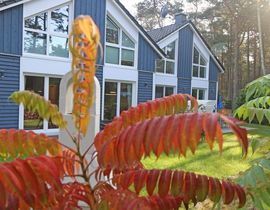 Strandhaus Traumland mit Terrasse