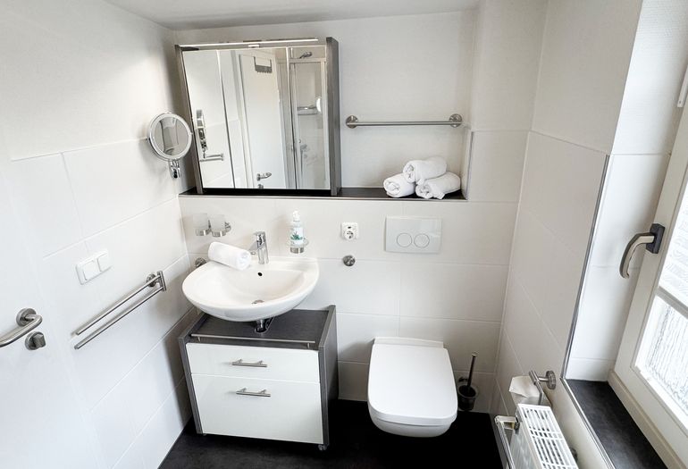 Tageslicht-Badezimmer mit Waschbecken und WC