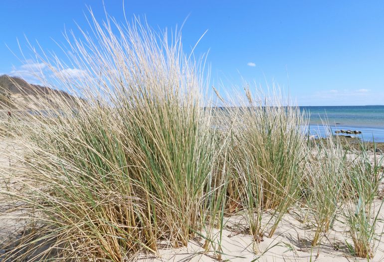 Südstrand Göhren