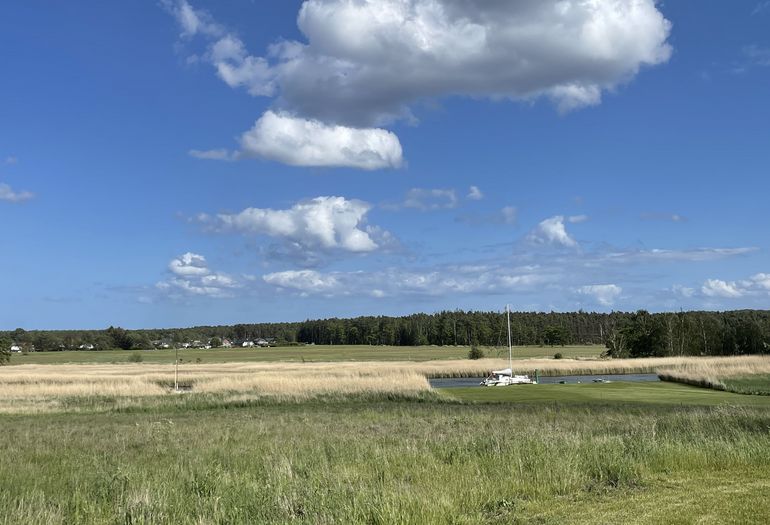 Blick vom Garten Blick vom Garten