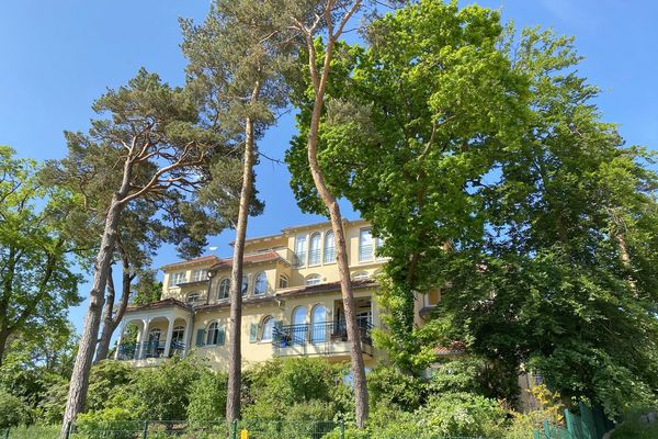 Grüne Düne Grüne Düne