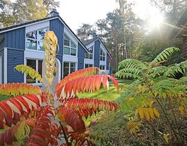 Strandhaus Traumland mit Terrasse
