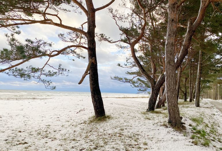 Baaber Strand mit Schneedecke Baaber Strand mit Schneedecke