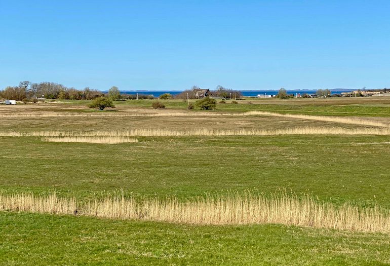 Blick vom Balkon C 13 Blick vom Balkon C 13