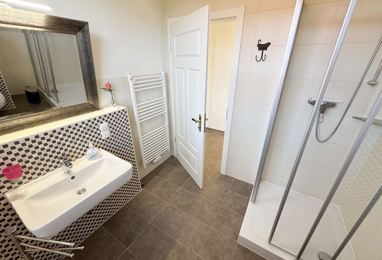 Badezimmer mit Dusche und Waschbecken
