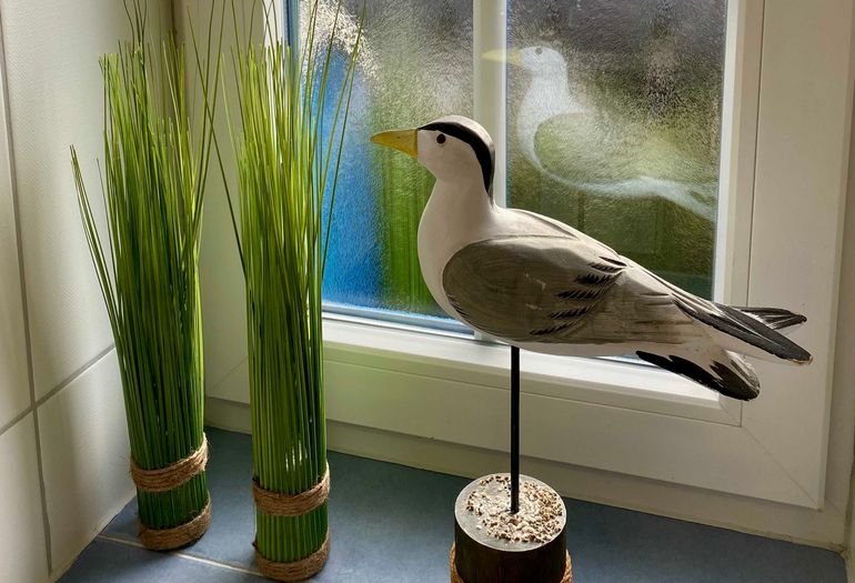 Tageslichtduschbad
