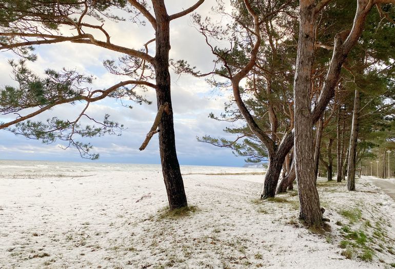 Baaber Strand mit Schneedecke Baaber Strand mit Schneedecke