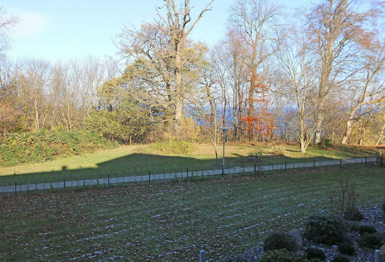 Ausblick durch die Bäume zur Ostsee