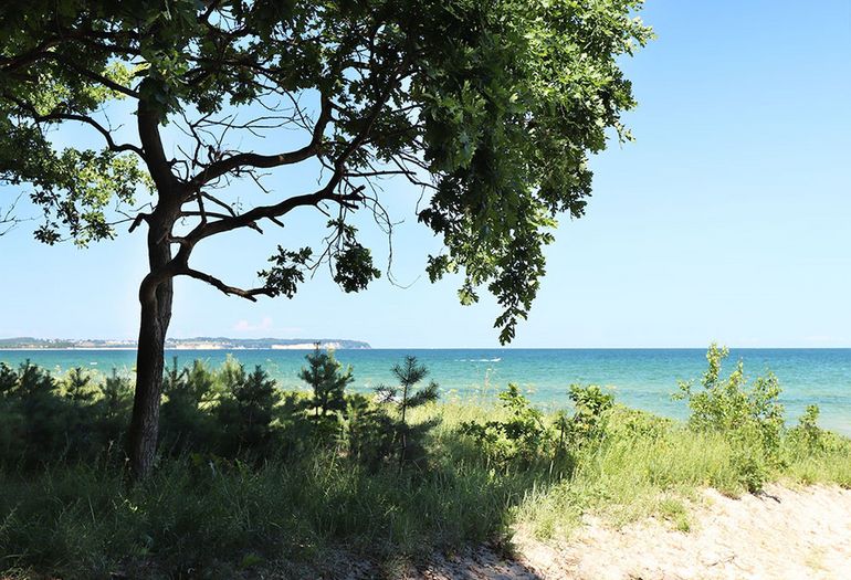 Strand in Thiessow Strand in Thiessow