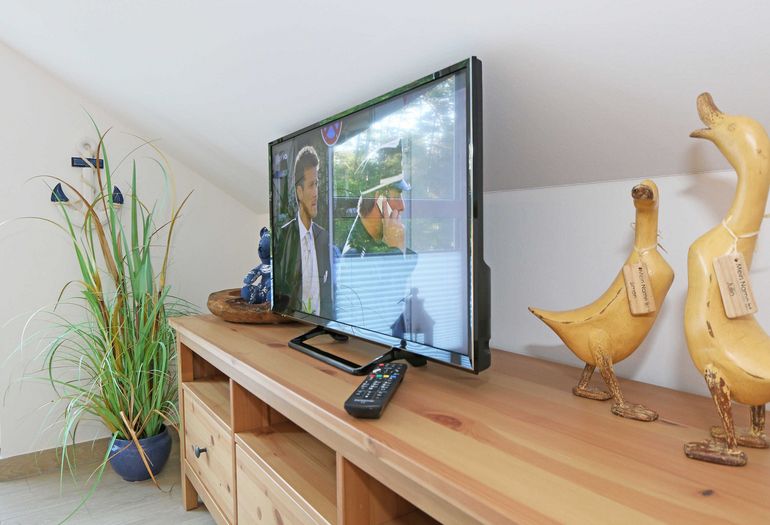 Siedboard mit TV-Gerät