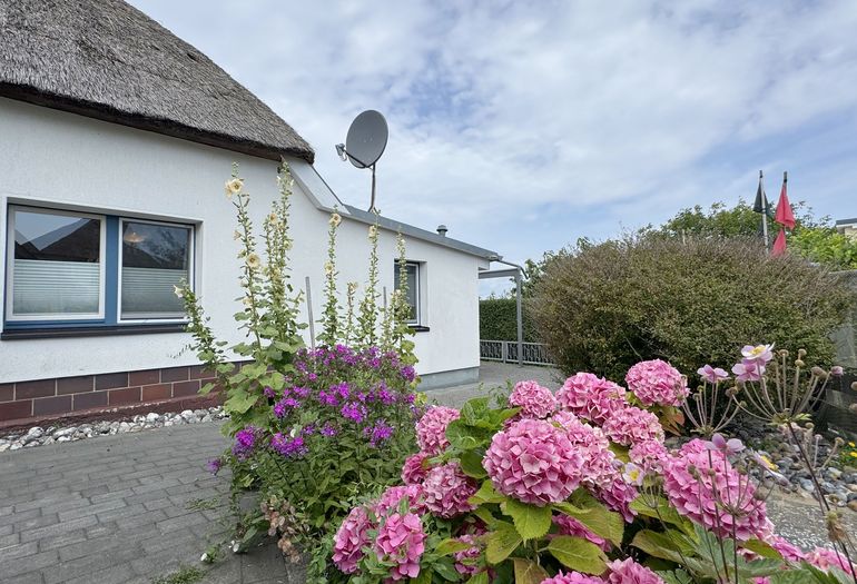 Weg zur Terrasse Weg zur Terrasse