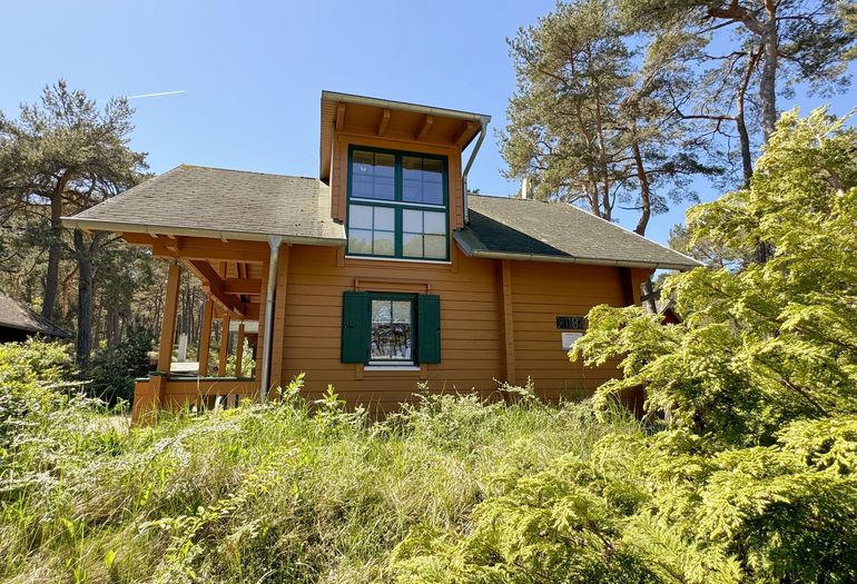 Ferienhaus Traumblick - Urlaub unter Kiefern