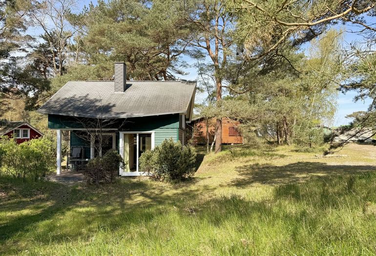 Strandhaus Dünenweg 17b umgeben von Kiefern