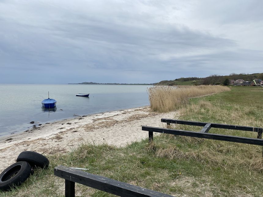 Natur pur am Strand von Lobbe
