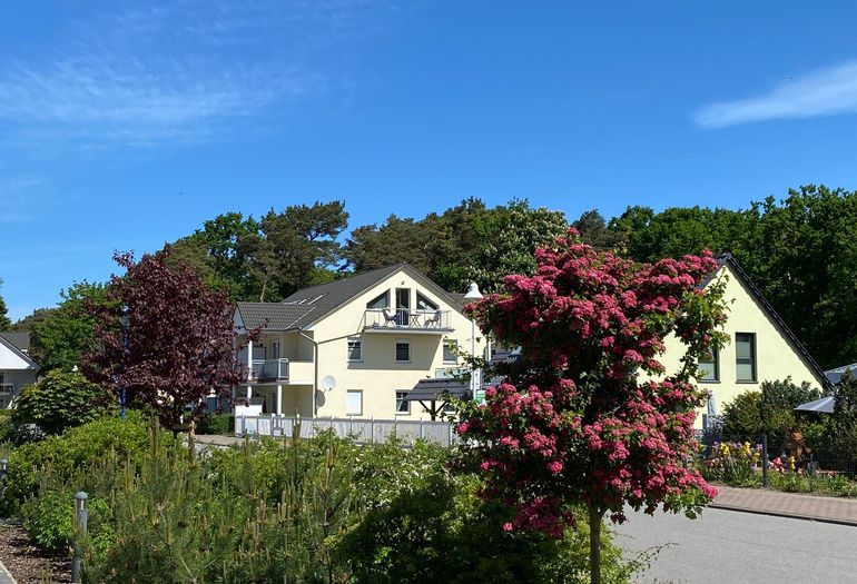 Außenansicht Außenansicht