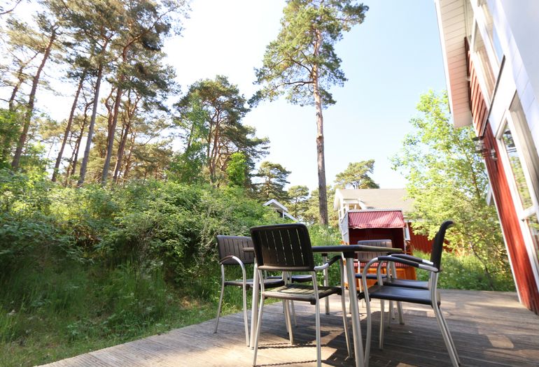 Terrasse umgeben von Kiefern