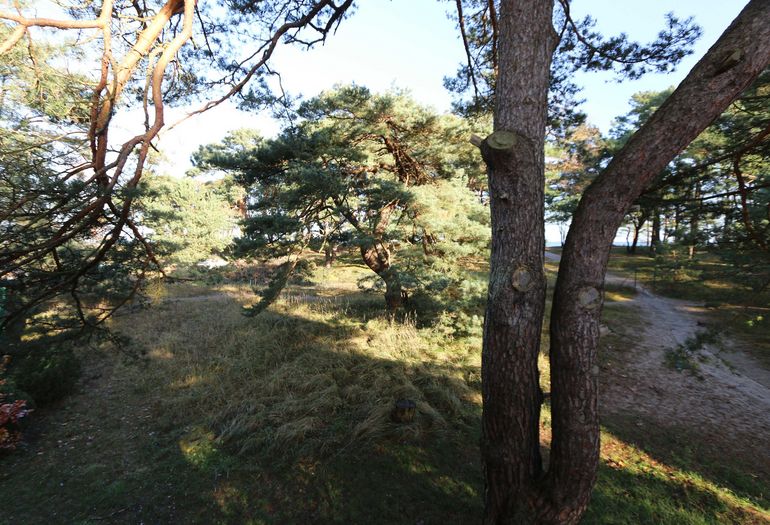 Ausblick Richtung Ostsee Ausblick Richtung Ostsee
