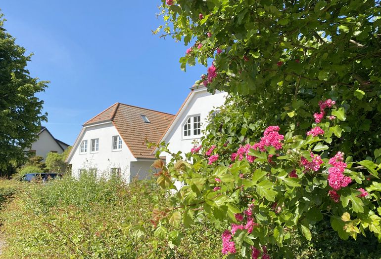 Lotsenberg Apartments